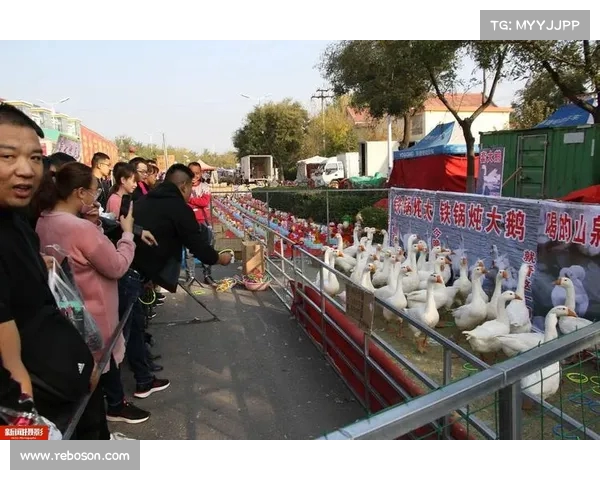 两位驯鹅高手再度携手!女中丈夫组合再创奇迹(训鹅视频) 两位驯鹅高手再度携手!女中丈夫组合再创奇迹(训鹅视频)