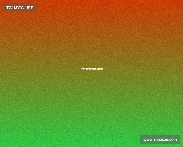 摩纳哥继续高歌猛进,-战胜里昂 摩纳哥继续高歌猛进,-战胜里昂